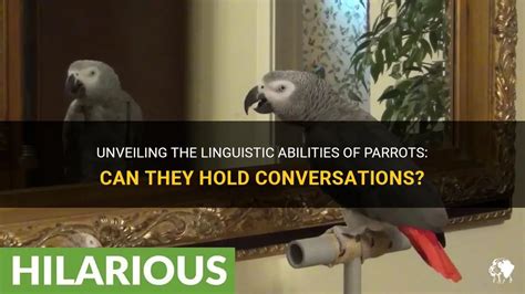 parroting in conversation.